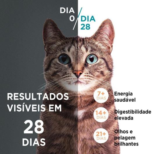 Ração PURINA ONE Gatos Adultos Castrados Frango e Salmão 500g - Imagem em destaque