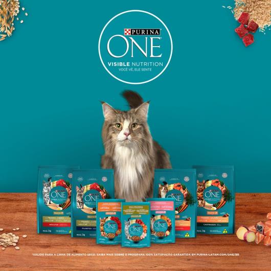 Ração PURINA ONE Gatos Adultos Castrados Frango e Salmão 500g - Imagem em destaque