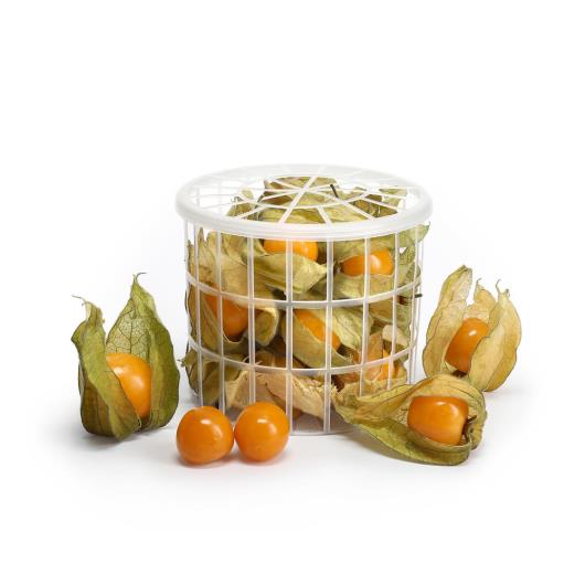 Physalis importado Berrygood 100g - Imagem em destaque