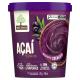 Sorbet Açaí Mãe Terra Premium Pote 700ml - Imagem 7891150086302.png em miniatúra