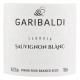 Vinho Terroir Garibaldi Sauvignon Blanc Serra Gaúcha Garrafa 750ml - Imagem 7896034303001-01.png em miniatúra