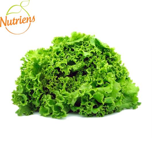 Alface Crespa Orgânica Nutriens Embalada 200g - Imagem em destaque