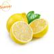 Limão Siciliano Orgânico Nutriens 500g - Imagem 1000048168.png em miniatúra