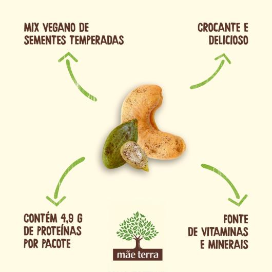 Snack Saudável Mãe Terra Remix Sementes 25 g - Imagem em destaque